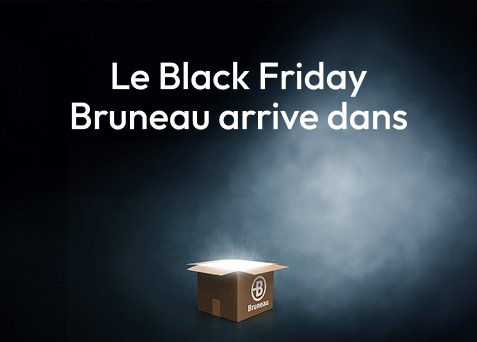 Black Friday Bruneau