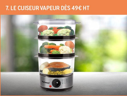 Le cuit vapeur Techwood