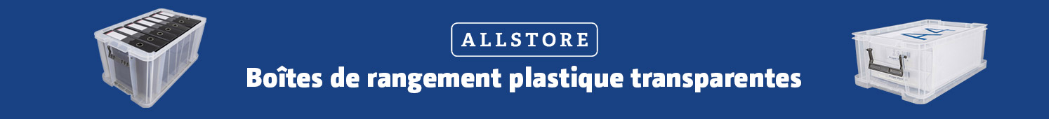 Allstore Boîtes de rangement plastique transparentes
