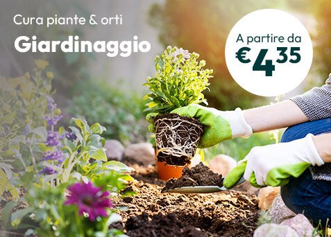 Speciale Giardinaggio - scopri tutti gli attrezzi per la cura di piante e orti!