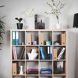 Classement et organisation